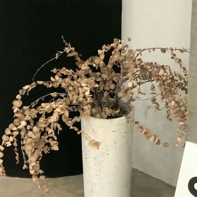 Furry绘画配色实用指南FurryQQ群